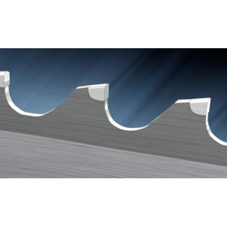 Sägeband mit Hartmetallschärfe HM-Titan B0 forteC 
