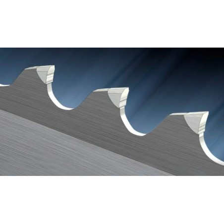 Sägeband mit Hartmetallschärfe HM-Titan forteC