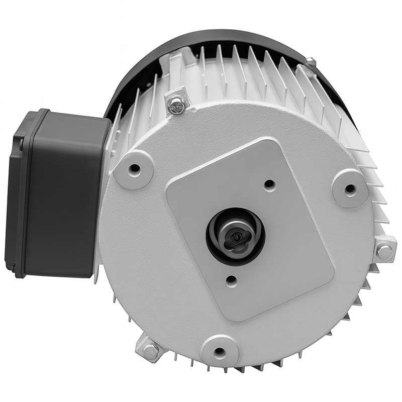 Elektromotor 230V 3kW für Holzspalter
